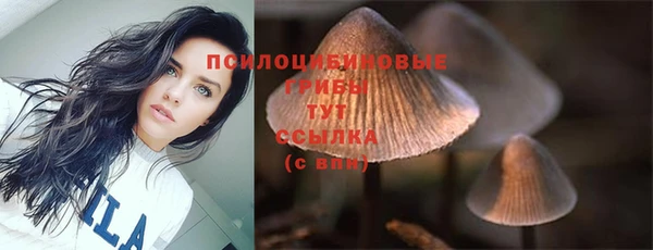 прущие крисы Алзамай