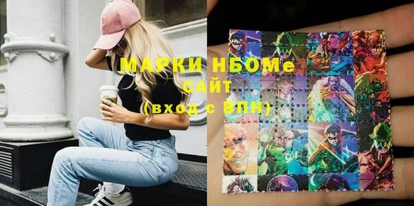 шишки Апатиты